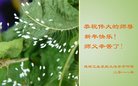 Published on 12/30/2017 ���ֹ�,����ҵ�󷨵��ӹ�ףʦ�������(26��)