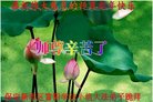 ֹ,󷨵ӹףʦ(27)