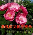 ֹ,󷨵ӹףʦ(19)
