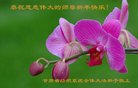 Published on 12/30/2017 ���ֹ�,����ҵ�󷨵��ӹ�ףʦ�������(26��)