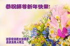 Published on 1/1/2018 ���ֹ�,��½�󷨵��ӹ�ףʦ�������(27��)