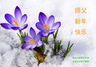 Published on 1/1/2018 ���ֹ�,��½�󷨵��ӹ�ףʦ�������(29��)