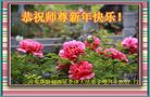 ֹ,ϴ󷨵ӹףʦ(23)