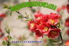 ֹ,󷨵ӹףʦ(19)