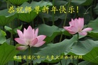 ֹ,ʡ󷨵ӹףʦ(20)