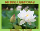 ֹ,㶫󷨵ӹףʦ(25)