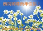 ֹ,󷨵ӹףʦ(22)