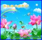 ֹ,󷨵ӹףʦ(19)