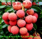 ֹ,󷨵ӹףʦ(19)