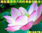 ֹ,ʡ󷨵ӹףʦ(20)