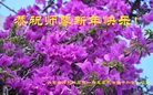ֹ,ɹŴ󷨵ӹףʦ(21)