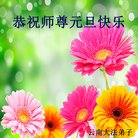 ֹ,ϴ󷨵ӹףʦ(20)