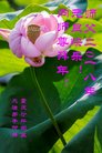 ֹ,󷨵ӹףʦ(21)