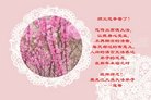 ֹ,󷨵ӹףʦ(19)