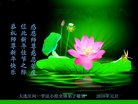 ֹ,󷨵ӹףʦ(20)