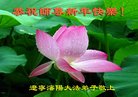 ֹ,󷨵ӹףʦ(24)