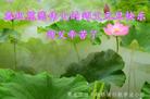 ֹ,ľ˹󷨵ӹףʦ(18)