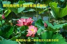 ֹ,󷨵ӹףʦ(27)