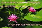ֹ,󷨵ӹףʦ(19)