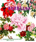 ֹ,ϴ󷨵ӹףʦ(23)