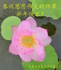 ֹ,󷨵ӹףʦ(21)