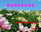 ֹ,ɹŴ󷨵ӹףʦ(20)