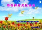 ֹ,ɹŴ󷨵ӹףʦ(20)