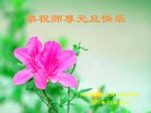 ֹ,ȷ󷨵ӹףʦ(24)