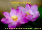 ֹ,󷨵ӹףʦ(18)