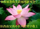 ֹ,󷨵ӹףʦ(22)
