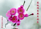 ֹ,󷨵ӹףʦ(21)
