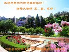 ֹ,󷨵ӹףʦ(24)