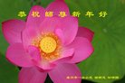 ֹ,ݴ󷨵ӹףʦ(22)