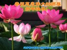 ֹ,󷨵ӹףʦ(20)