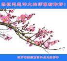 ֹ,󷨵ӹףʦ(24)