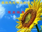 ֹ,ӱ󷨵ӹףʦ(26)