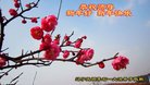 ֹ,󷨵ӹףʦ(24)