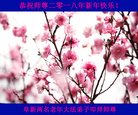 ֹ,󷨵ӹףʦ(24)