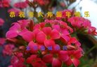 Published on 12/30/2017 ���ֹ�,���굽�����ô󷨸��������˸ж����ʦ