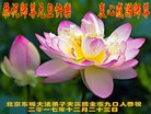 ֹ,󷨵ӹףʦ(17)