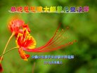 ֹ,󷨵ӹףʦ(29)