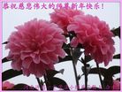 ֹ,ϴ󷨵ӹףʦ(24)