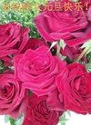 ֹ,󷨵ӹףʦ(29)