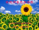 ֹ,㶫󷨵ӹףʦ(28)