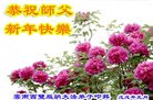 ֹ,ϴ󷨵ӹףʦ(22)