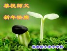 ֹ,ϴ󷨵ӹףʦ(22)