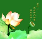 ֹ,󷨵ӹףʦ(24)