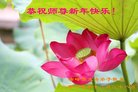 ֹ,ɹŴ󷨵ӹףʦ(22)