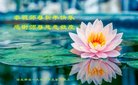 ֹ,ӱ󷨵ӹףʦ(26)