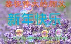 ֹ,󷨵ӹףʦ(25)
